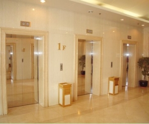 �����Ƶ����